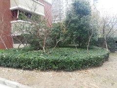 南通景河苑最新爆料,揭秘神秘项目背后的真相  第2张