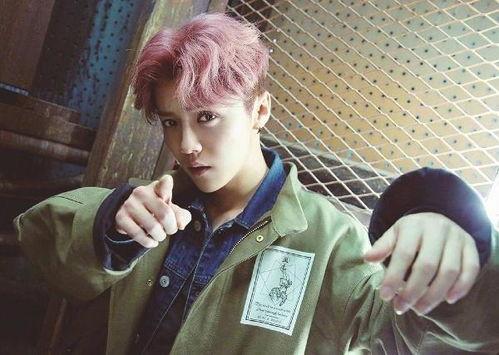 鹿晗最新消息爆料视频,独家爆料视频大揭秘  第3张